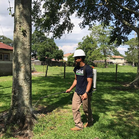 Termite treatment Services -  New Orleans 